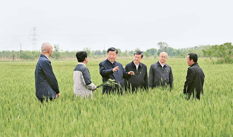 2023年5月11日至12日，中共中央總書(shū)記、國家主席、中央軍委主席習近平在河北考察，并主持召開(kāi)深入推進(jìn)京津冀協(xié)同發(fā)展座談會(huì )。這是11日上午，習近平在滄州市黃驊市舊城鎮仙莊片區旱堿地麥田考察時(shí)，同種植戶(hù)、農技專(zhuān)家親切交流。 新華社記者 李學(xué)仁/攝