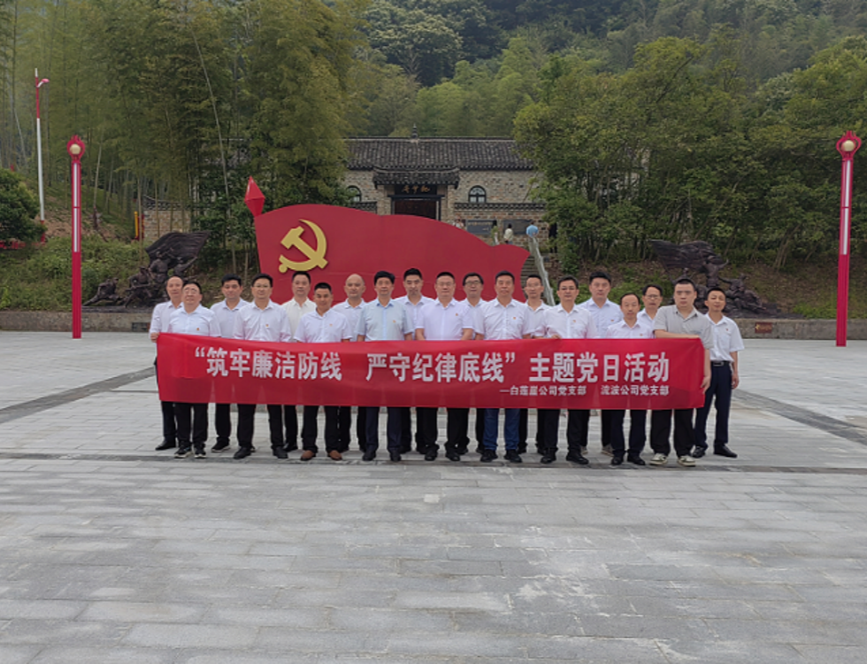 白蓮崖電站、流波電站_副本.png